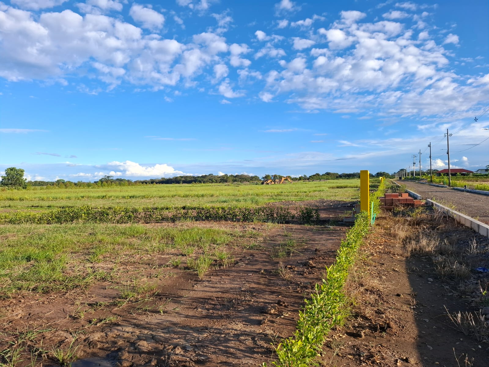 Lotes premium demarcados